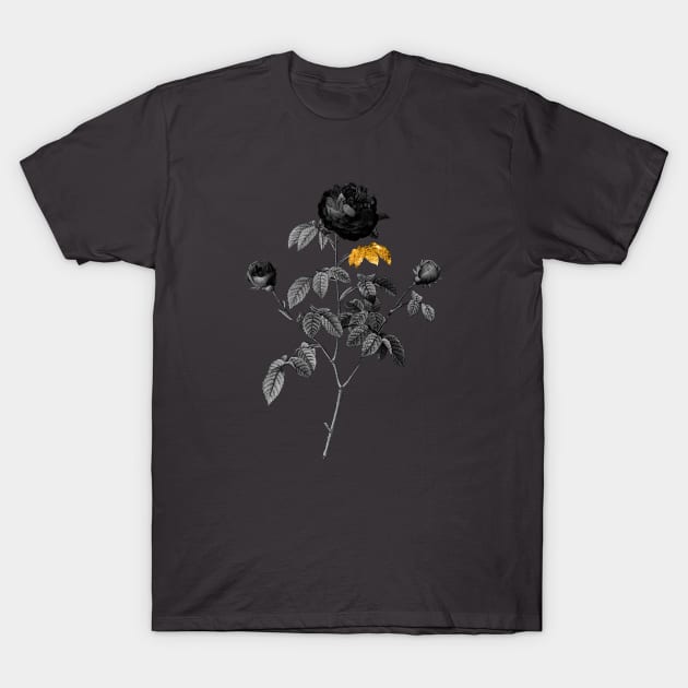 Black and Gold Leaf - Agatha Rose in Bloom - Vintage Botanical T-Shirt by Holy Rock Design
